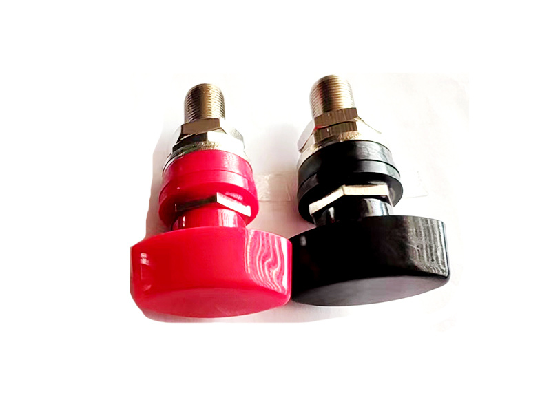 200A接線(xiàn)柱JXZ-5D M12x80 200A接線(xiàn)柱JXZ-5D M12x80