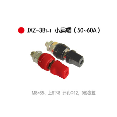 JXZ-3B₁-₁小(xiǎo)扁帽(50~60A)